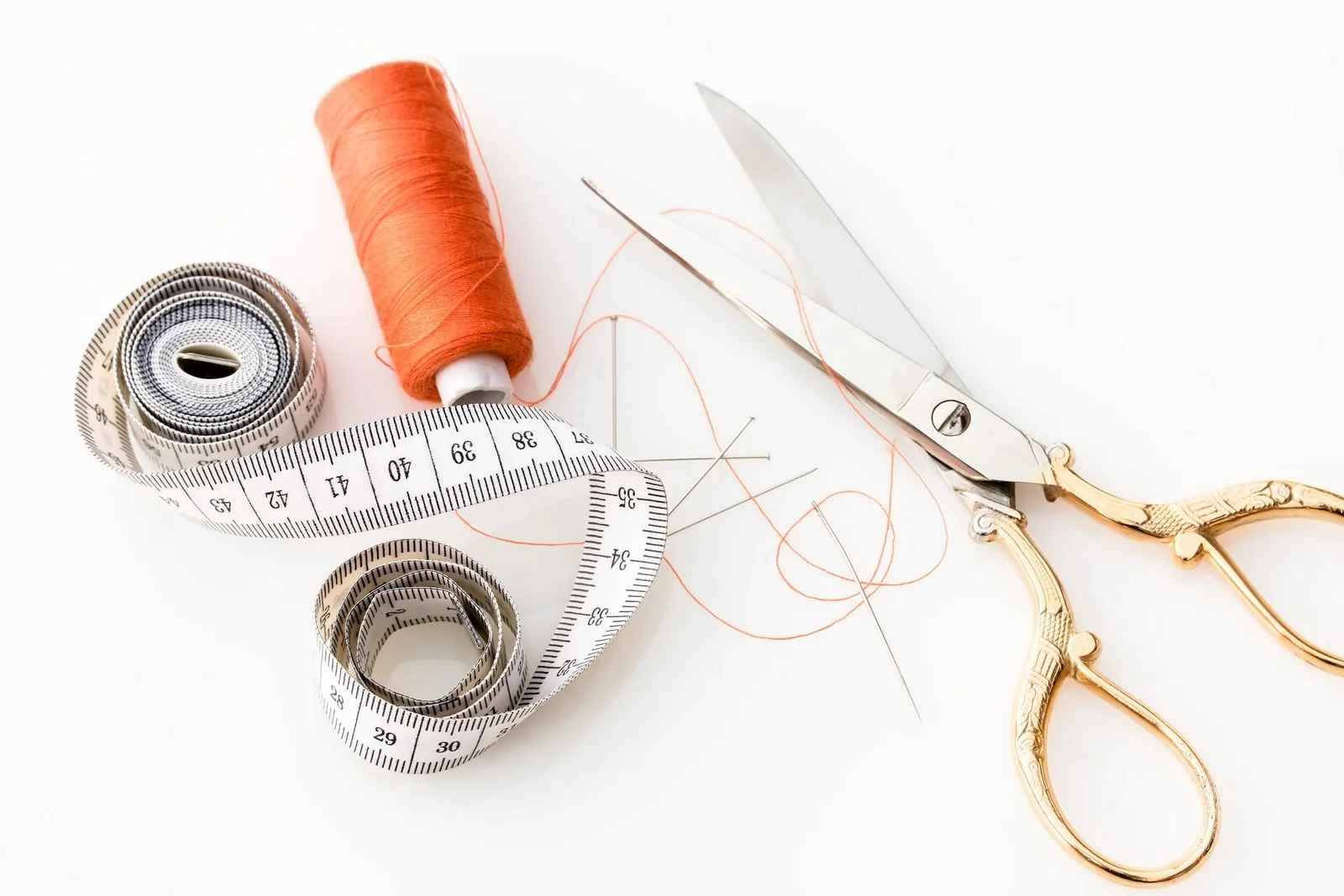 Looking for some fun and educational classes and events?