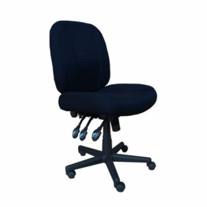 Horn of America 6-Way Deluxe Adjustable Chair 17090C
