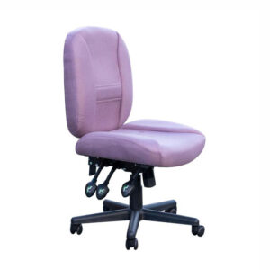 Horn of America 6-Way Deluxe Adjustable Chair 17090C