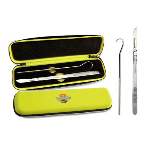 Dime Bird's Nest Tool Kit