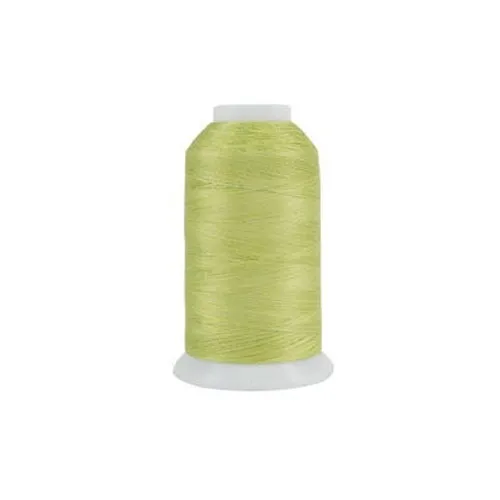 King Tut #969 Date Palm